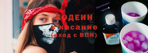 соль ск Абаза