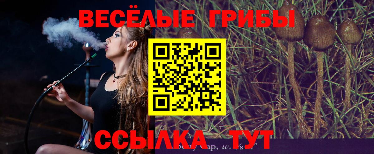 Псилоцибиновые грибы мухоморы  Вход с VPN  Хабаровск 
